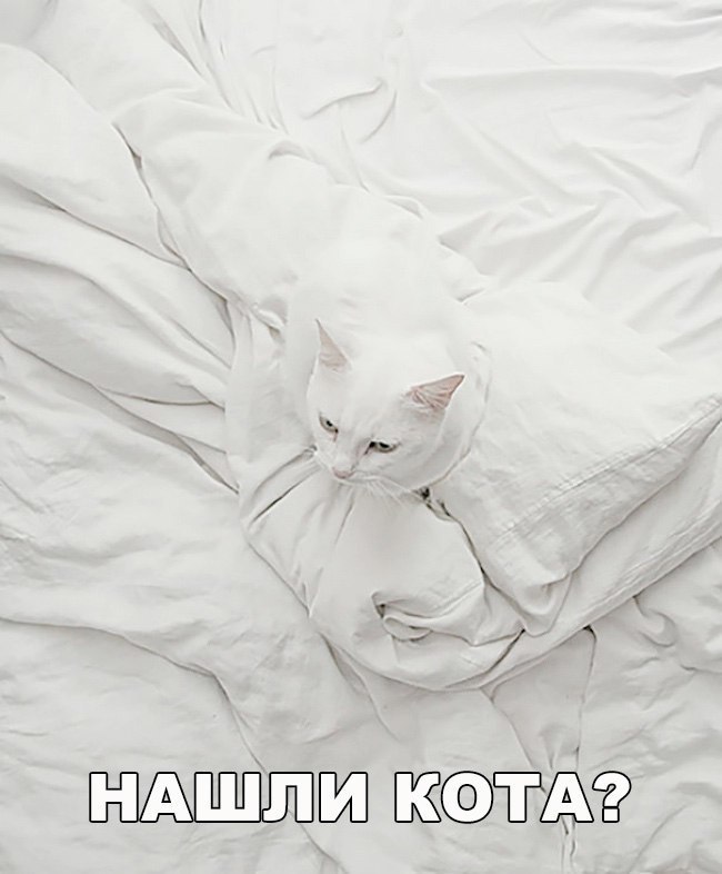 ндшпш