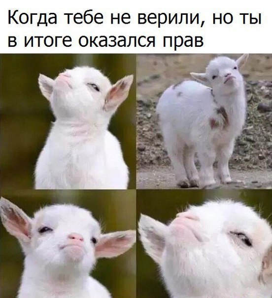Когда тебе не верили но ты в итоге оказался прав