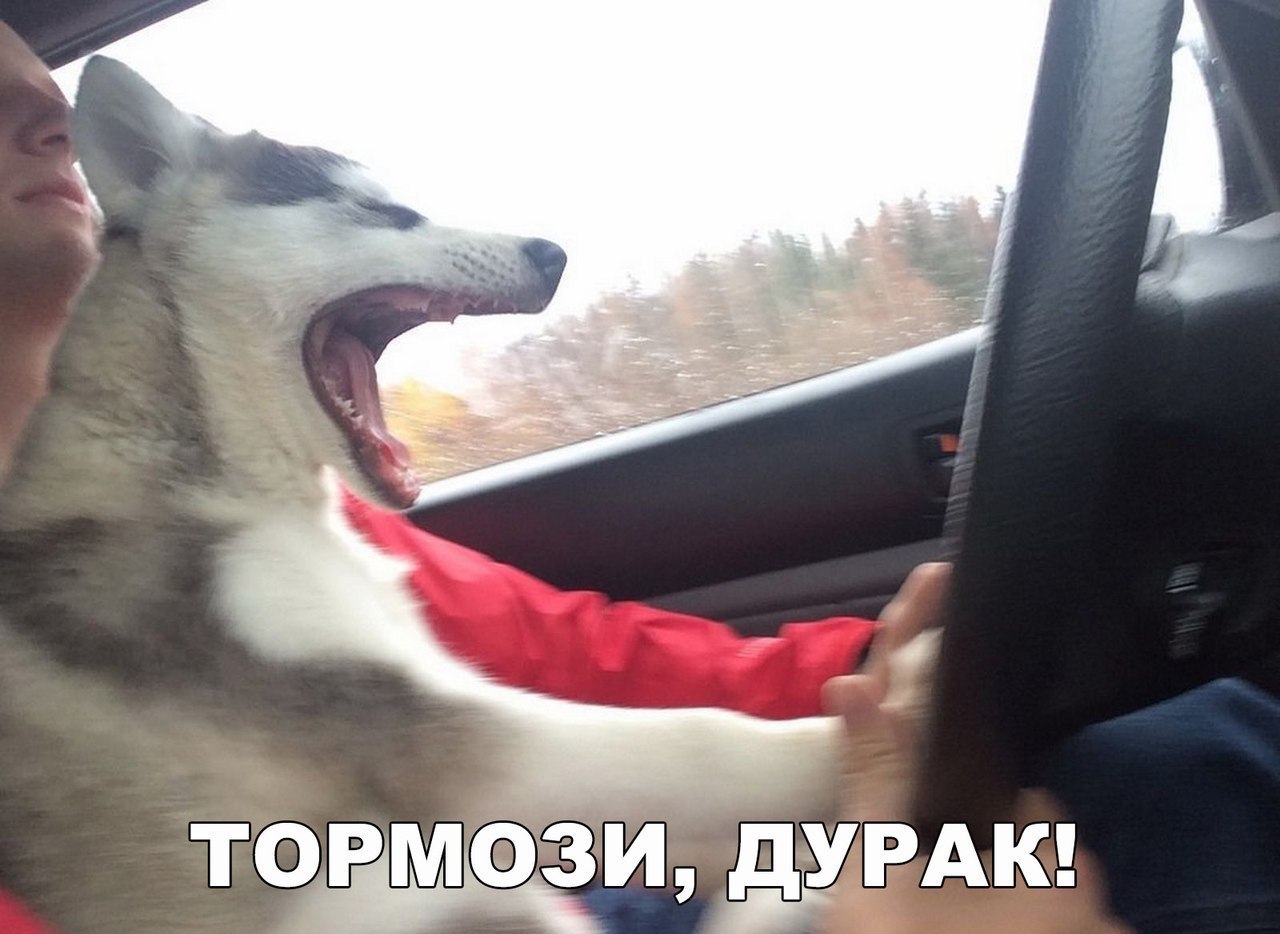 ТОРМФЗЙдЁУРАК