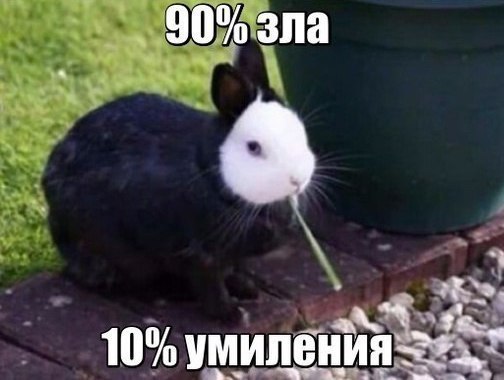 _ виздавид