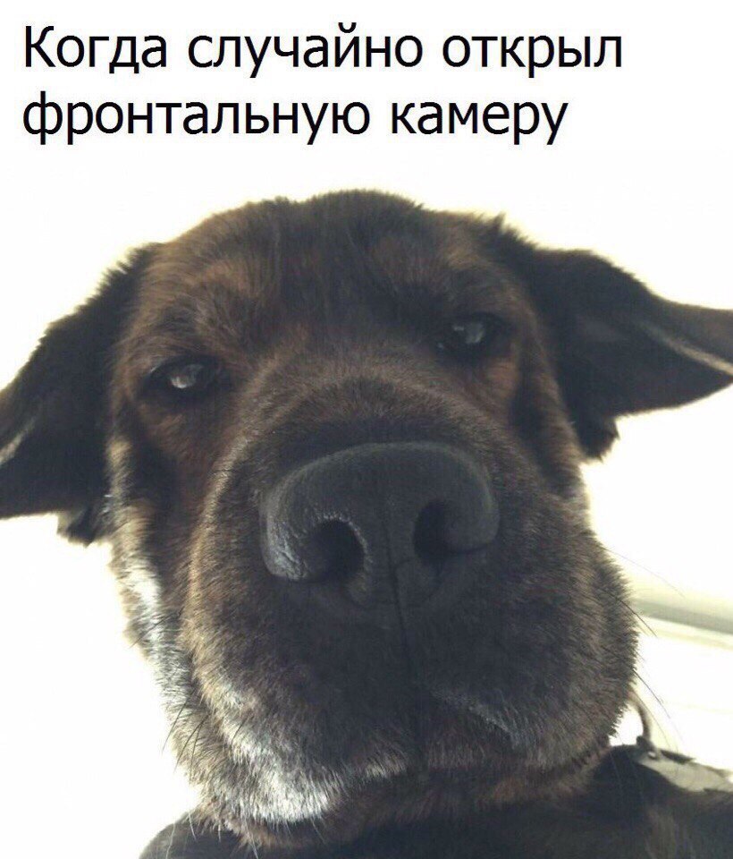 Когда случайно открыл фронтальную камеру