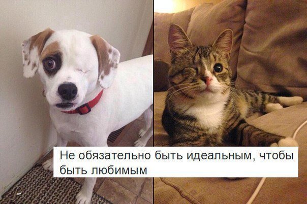 Не обязательно быть идеальным чтобы быть любимым