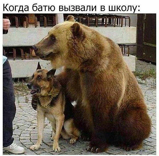Когда бдТЮ ВЫЗВдЛИ В ШКОЛУ