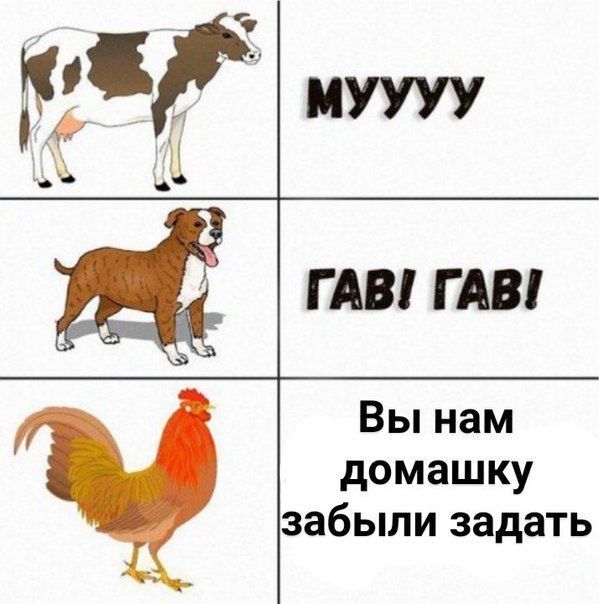 Вы нам домашку забыли задать