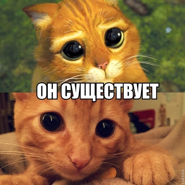 он существует