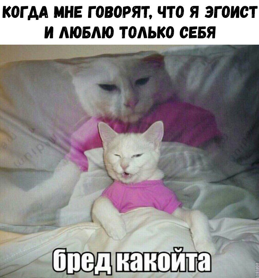 когдА мне говорят что я эгоист и АЮБМО тодррр сввя