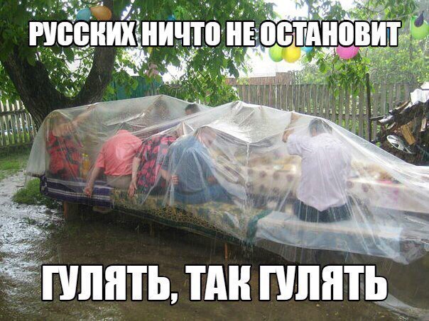 тин шляп пинать