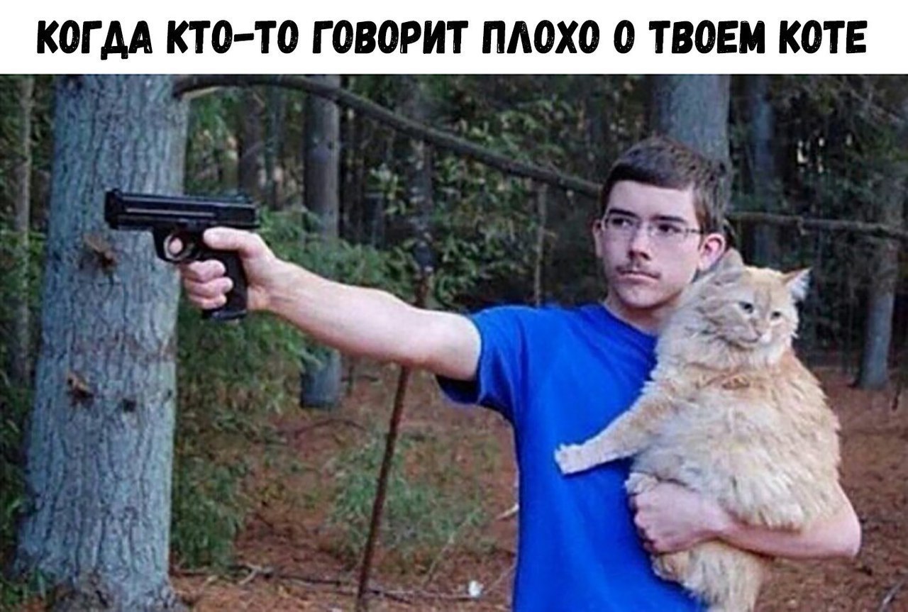 КОГ АА КТО ТО ГОВОРИТ ПЛОХО О ТВОЕМ КОТЕ 0