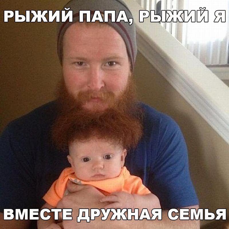 рыжий ПАПА ііпжиіш