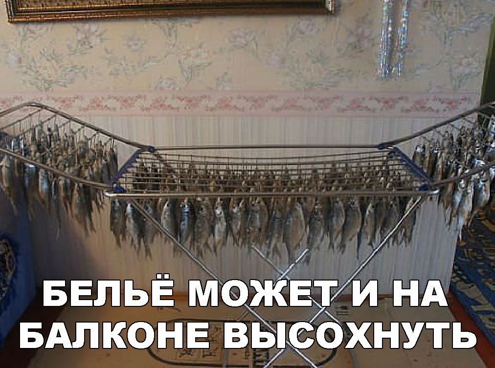 _1 __юрхнуть