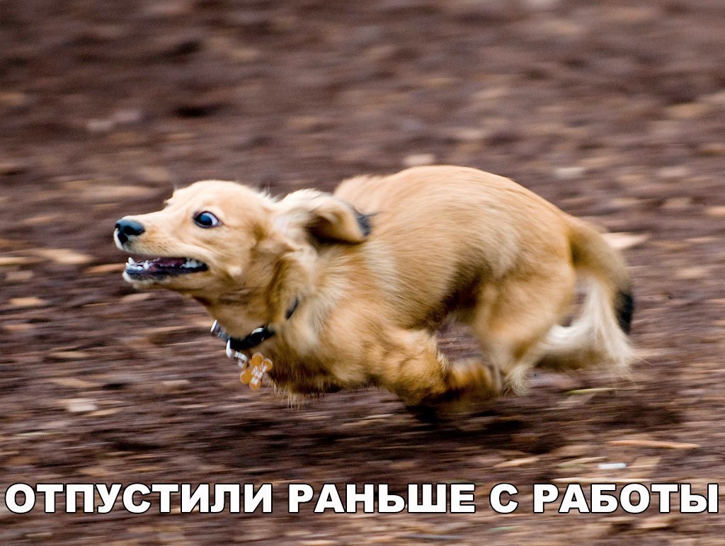 ОТПУСТИЛИ РАНЬШЕ С _ ___ ___