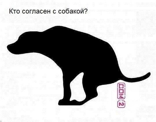 Кто согласен с собакой