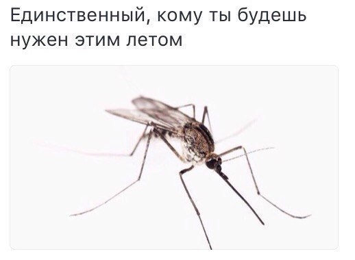 Единственный кому ты будешь нужен этим летом