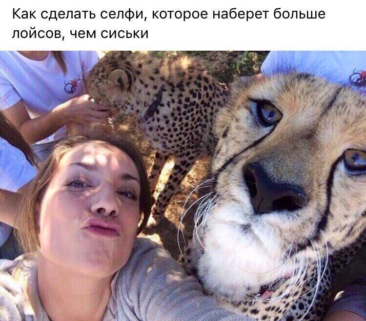 Как сделать сепфи которое наберет больше пойсов чем сиськи