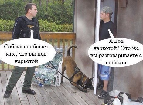 я под наркотой Это же вы разговариваете с собакой Собака сообщает МНЕ что ВЫ под наркотой