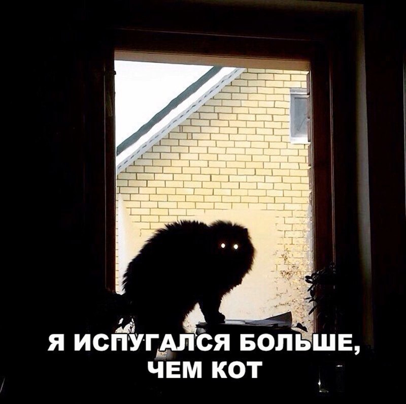 я исЁЁУ гдмЁя Ё6пшв ЧЕМ КОТ 0