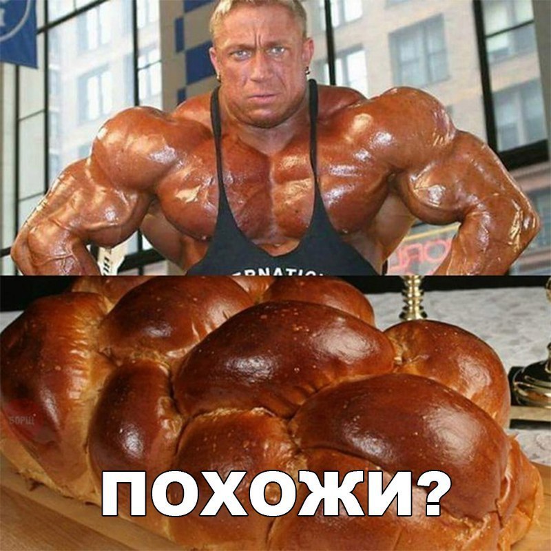 похожйр