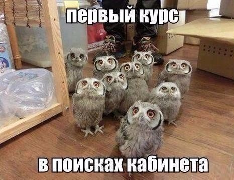ПЁПВЫЙ НШ