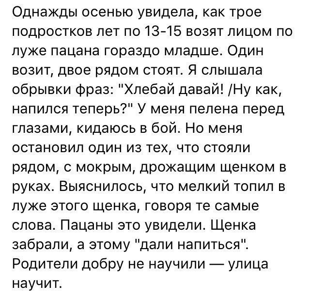 Однажды осенью увидела как трое подростков лет по 13 15 возят лицом по луже пацана гораздо младше Один возит двое рядом стоят Я слышала обрывки фраз Хлебай давай Ну как напился теперь У меня пелена перед глазами кидаюсь в бой Но меня остановил один из тех что стояли рядом с мокрым дрожащим щенком в руках Выяснилось что мелкий топил в луже этого щенка говоря те самые слова Пацаны это увидели Щенка 