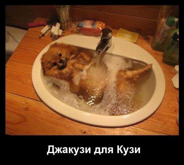 Джакузи для Кузи