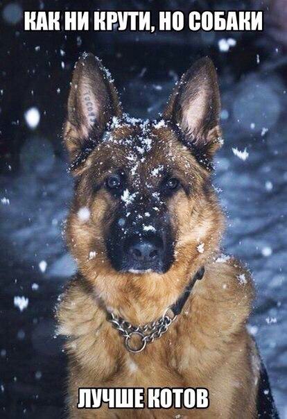 ШШ БПИ помни _ о