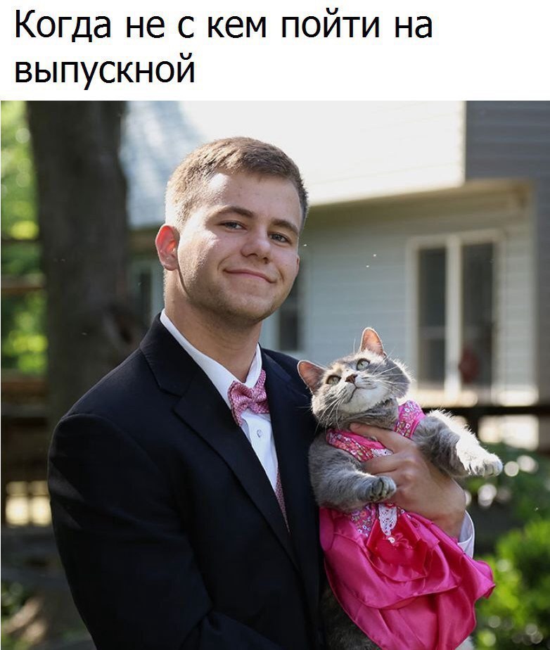 а Н И Т ии 0 П М 6 К С 6 Н М Г 0 К И О Н К С У Ь В
