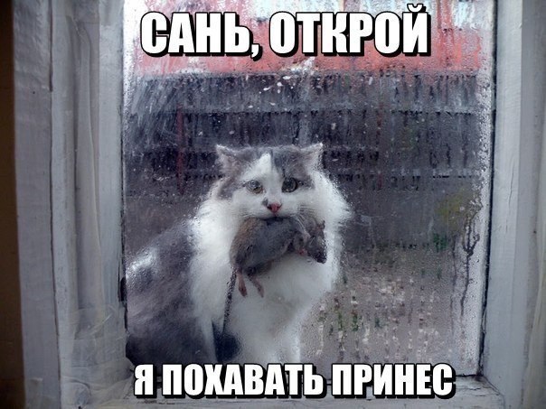 п ППШШЬ Юм