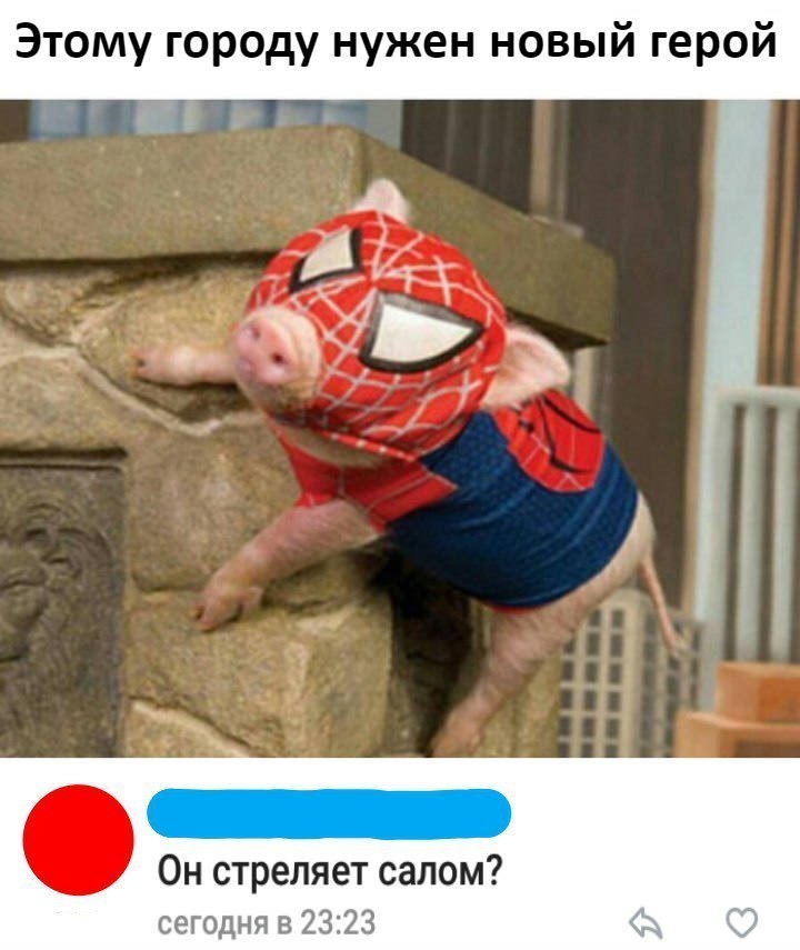 Этому городу нужен новый герой Он стреляет салом сегодня в 2323