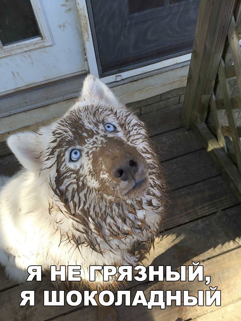я нЕ грязньі я шоколддны