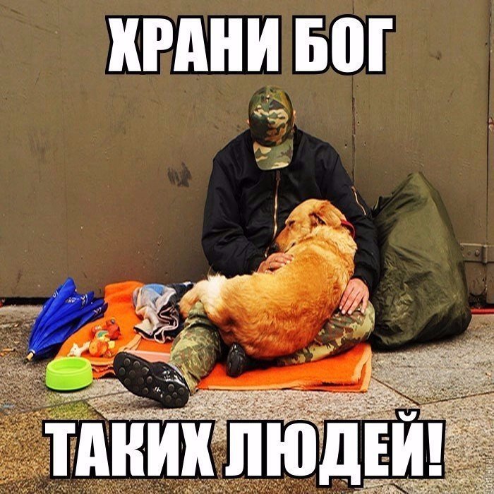КНШИ БШ