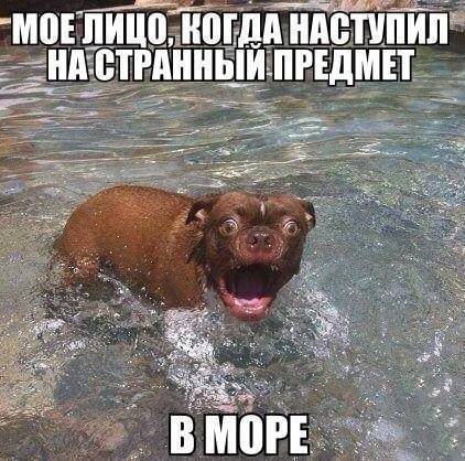 М0Е ПИШУ ИШідд ИАВППИП