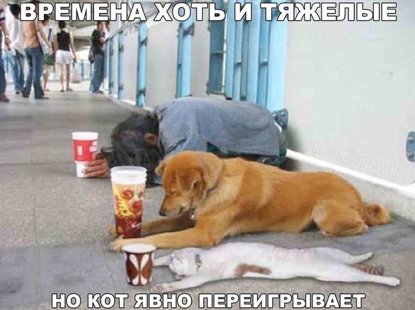 _ а Ё ШМШЁРЁШШШЁЁ