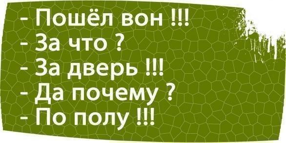 Пошёл вон За что За дверь Да почему По полу