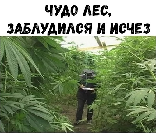 ЧУДО ЛЕС ИЛСЯ И ИСЕЗ дд 16 _