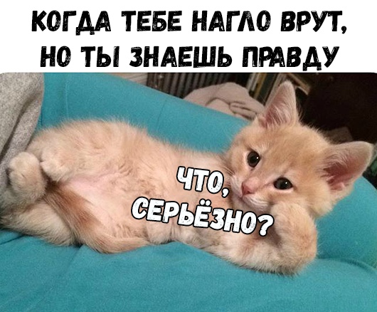 КОГ АА ТЕБЕ НАГАО ВРУТ НО ТЬЬЗНАЕШЬ ПРАВДУ _