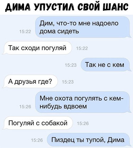 ДИМА УПУСТИА СВОЙ ШАНС Дим что то мне надоело дома сидеть Так сходи погуляй Так не с кем А друзья где Мне охота погулять кем нибудь вдвоем Погуляй с собакой Пиздец ты тупой дима