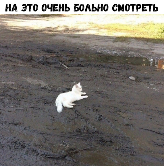 НА ЭТО ОЧЕНЬ БОАЬНО СМОТРЕТЬ