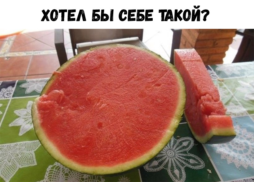 ХОТЕА БЫ СЕБЕ ШКОЙ