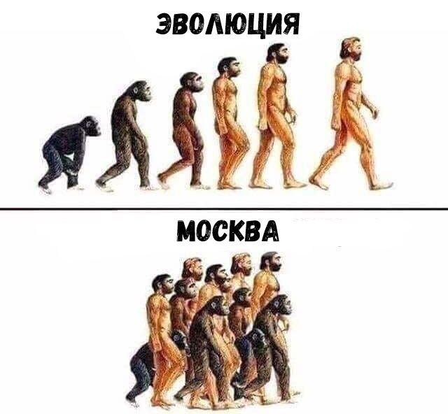 ЭВОЛЮЦИЯ А МОСКВА