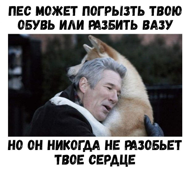 ПЕС МОЖЕТ ПОГРЫЗТЬ ТВОО ОБУВЬ ИЛИ РАЗБИТЬ ВАЗУ НО ОН НИКОГДА НЕ РАЗОБЬЕТ ТВОЕ СЕРДЦЕ