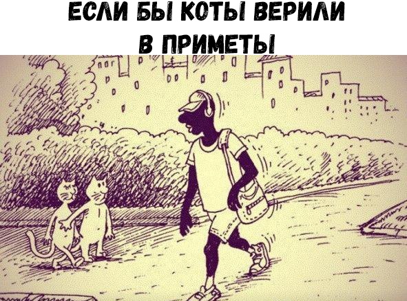 ЕСЛИ БЫ КОТЫ ВЕРИАИ В ПРИМЕТЫ