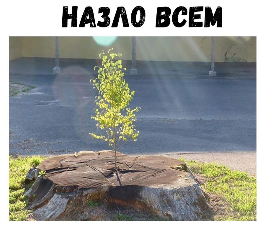 НАЗАО ВСЕМ