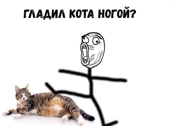 гмдид ком ногой