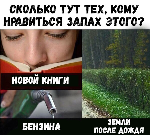 СКОАЬКО ТУТ ТЕХ КОМУ НРАВИТЬСЯ ЗАПАХ ЭТОГО новой книги о К 7 Земли БЕНЗИНА ПОСЛЕ дождя