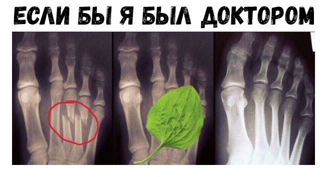 ЕСЛИ БЫ Я БЫЛ АОКТОРОМ