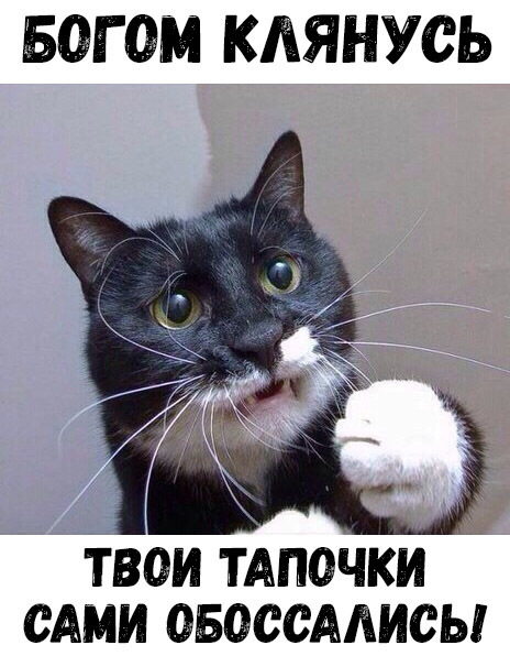 Бегом КЛЯНУСЬ ТВОИ ТАПОЧКИ САМИ ОБОССАЛИСЫ