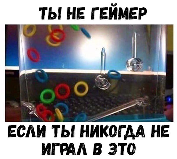 ТЫ НЕ Г ЕИМЕР если ты никогдА не игрм в это