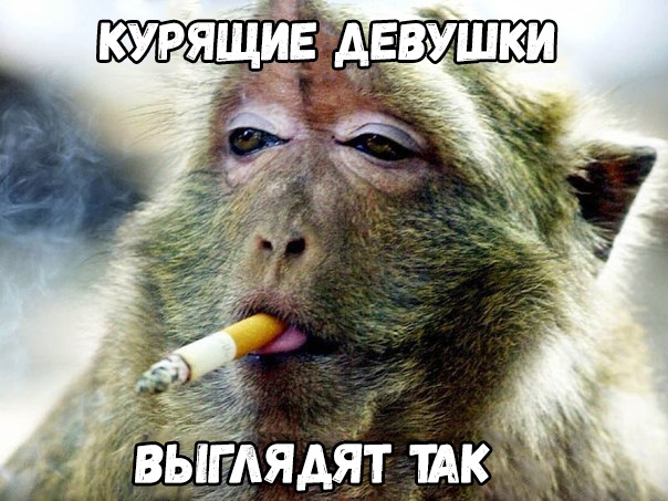 14вь АяАят пк