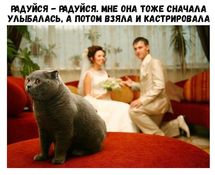 мдуйся мдуйся мне онд тоже сндчям удывмясь я потом взям и кястрировям