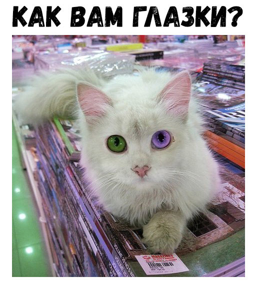 КАК ВАМ Г ААЗКИ ч т ЕЕЖ